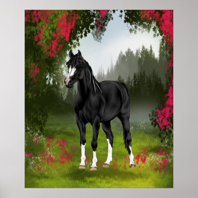 Affiche Cheval arabe noir dans une prairie printanière (Devant)