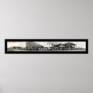 Affiche Cheval automatique San Benito, TX. Photo 1911