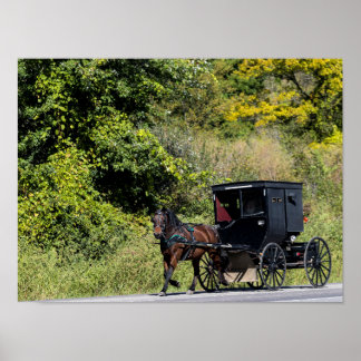Affiche Cheval avec buggy dans le pays Amish