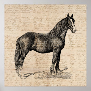 Affiche Cheval avec papier de script