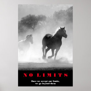 Affiche Cheval Blanc Noir Motivation Sans Limites Oeuvre