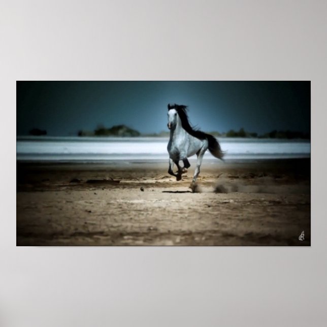 Affiche Cheval Blanc Sur La Plage (Devant)