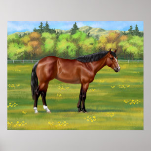 Affiche Cheval Brown Bay Quarter
