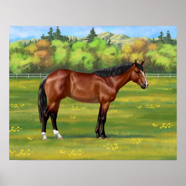 Affiche Cheval Brown Bay Quarter (Devant)