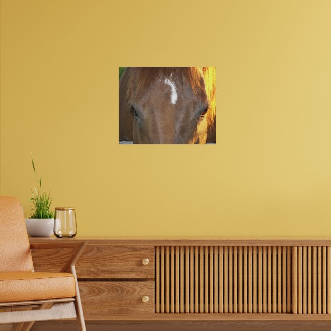Affiche Cheval Brun avec Marque Blanche sur le Visage Phot (Salon 2)