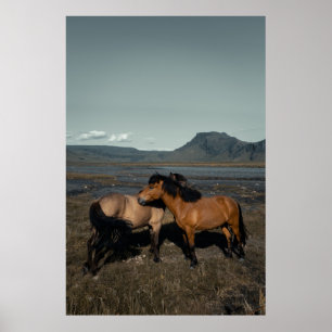 AFFICHE CHEVAL COUPLE