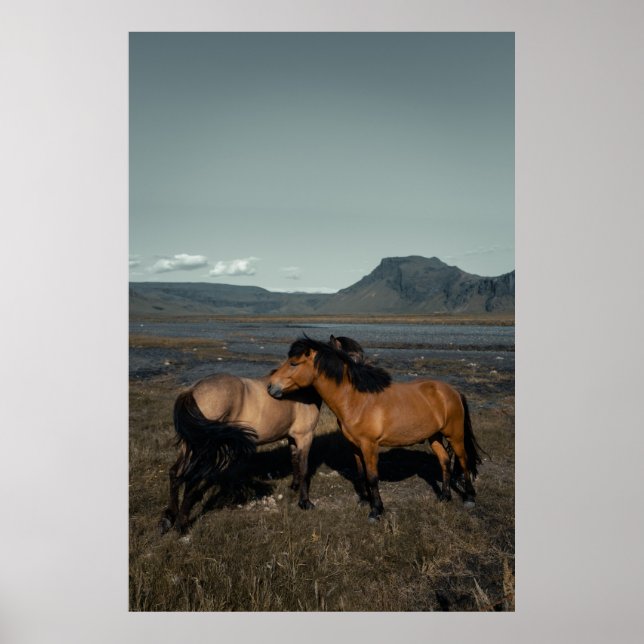 AFFICHE CHEVAL COUPLE (Devant)