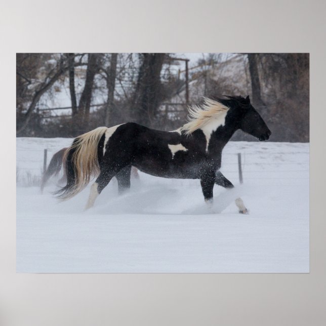 Affiche Cheval courant à travers la neige (Devant)