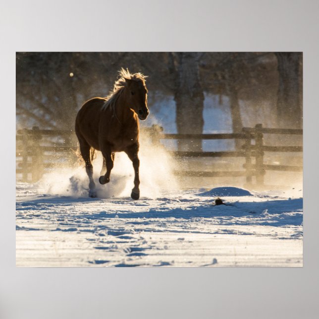 Affiche Cheval courant à travers la neige (Devant)