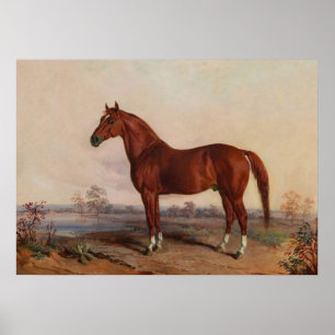 Affiche Cheval dans un paysage Art Vintage