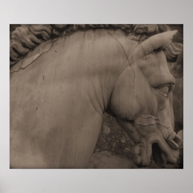 Affiche Cheval d'Art de la Renaissance italienne (Devant)