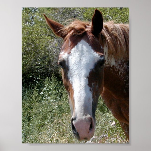 Affiche Cheval de bien sûr ~Print~ (Devant)