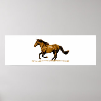 Affiche Cheval de course