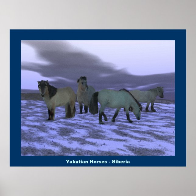 Affiche Cheval de l'aube (Devant)