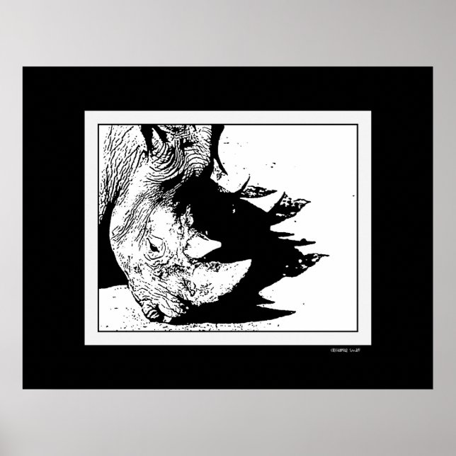 Affiche Cheval de l'ombre (Devant)