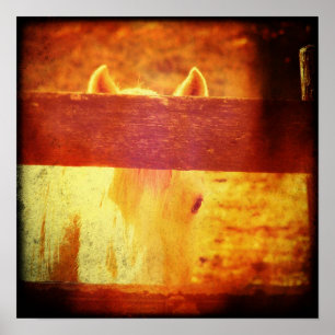 Affiche Cheval de Pékin