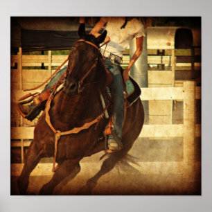 Affiche Cheval de rotation