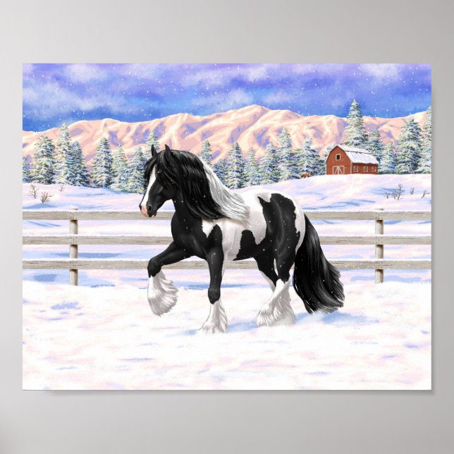 Affiche Cheval de trait Gypsy Vanner Piebalde Pinto Noir (Devant)