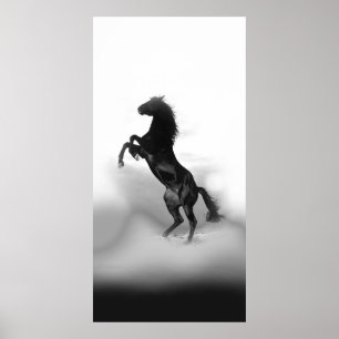 Affiche Cheval d'élevage noir blanc