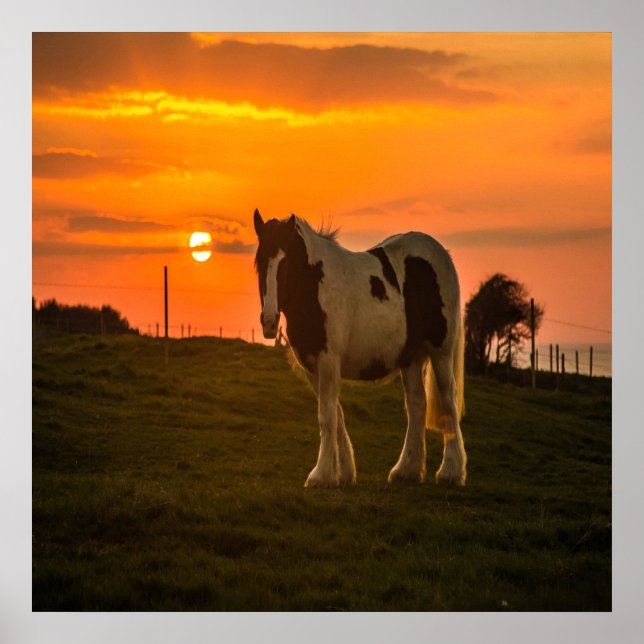 Affiche Cheval du coucher du soleil (Devant)