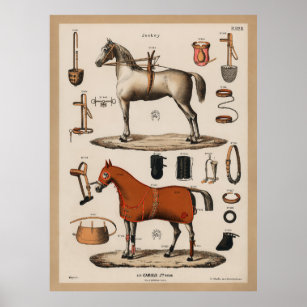 Affiche Cheval Equestre vintage équitation Tack Jockey