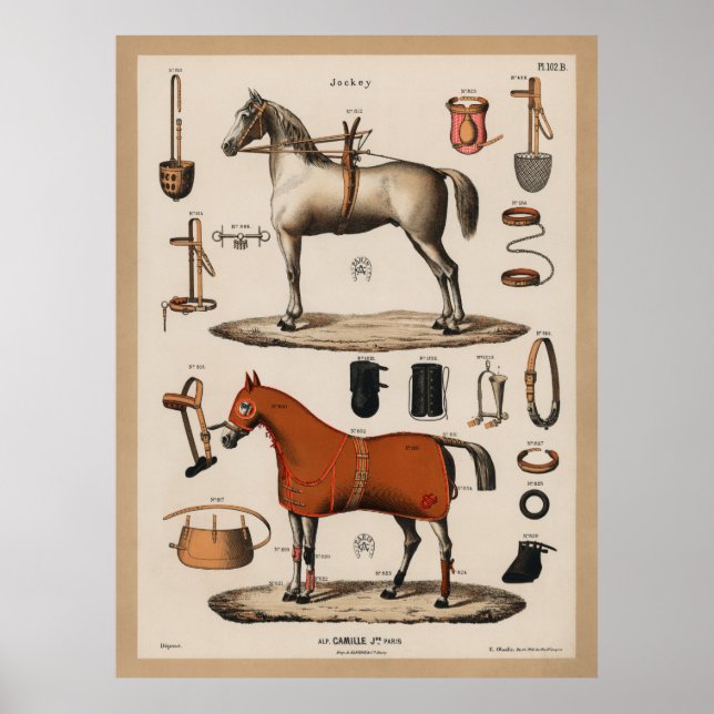 Affiche Cheval Equestre vintage équitation Tack Jockey (Devant)