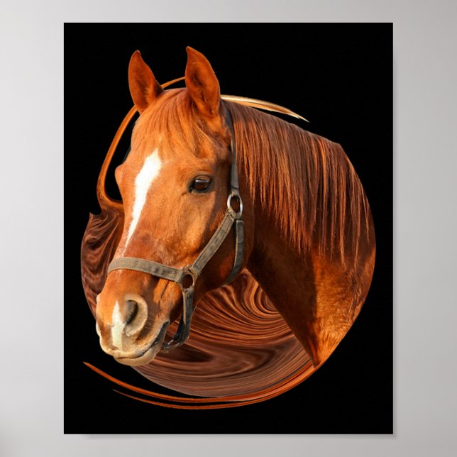 Affiche Cheval équitation Graphisme Cheval Photo - Cheval  (Devant)