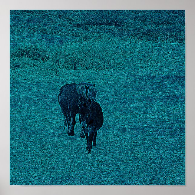 Affiche Cheval et âne (Devant)