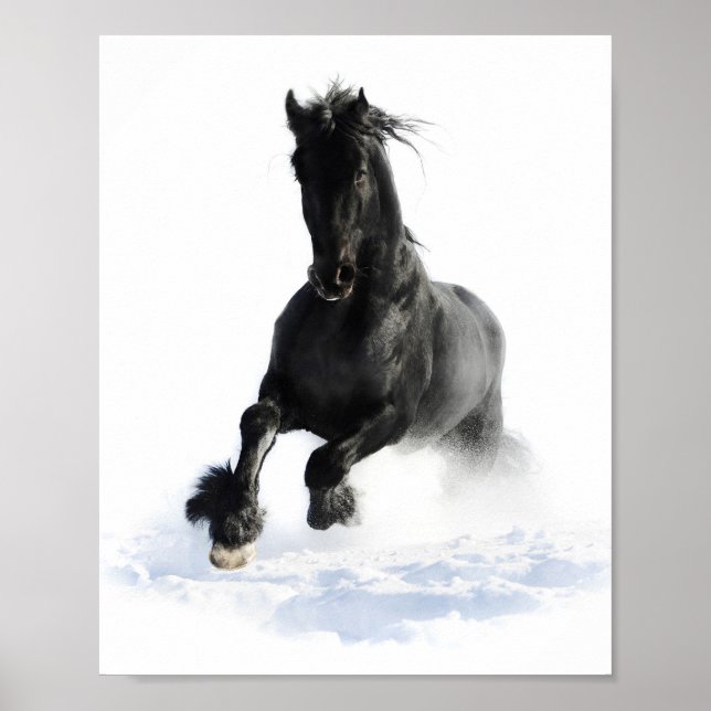 Affiche Cheval Friésien Noir En Découpage Neige Imprimer (Devant)