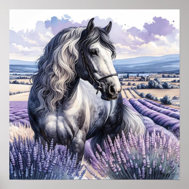 Affiche Cheval gris joli debout en Lavender (Devant)