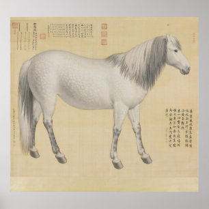 Affiche Cheval gris pommelé - Art fin chinois vintage
