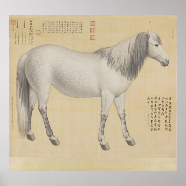 Affiche Cheval gris pommelé - Art fin chinois vintage (Devant)