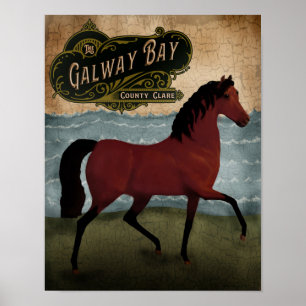 Affiche Cheval irlandais Jour de la Saint Patrick, étiquet