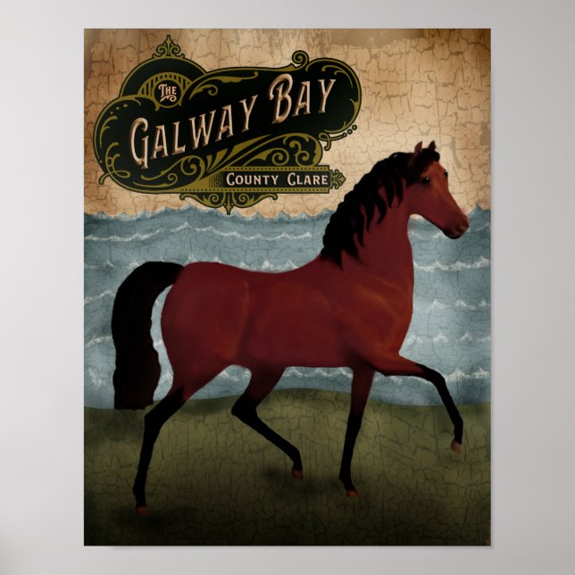 Affiche Cheval irlandais Jour de la Saint Patrick, étiquet (Devant)