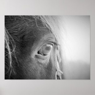 Affiche Cheval magique noir et blanc