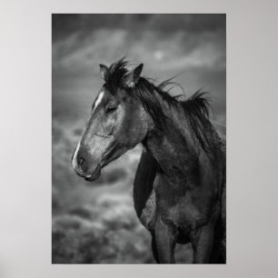 Affiche cheval mère