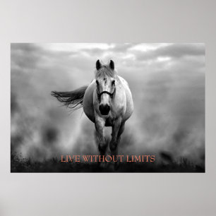 Affiche Cheval Motivationnel Blanc Noir Vit Sans Limites