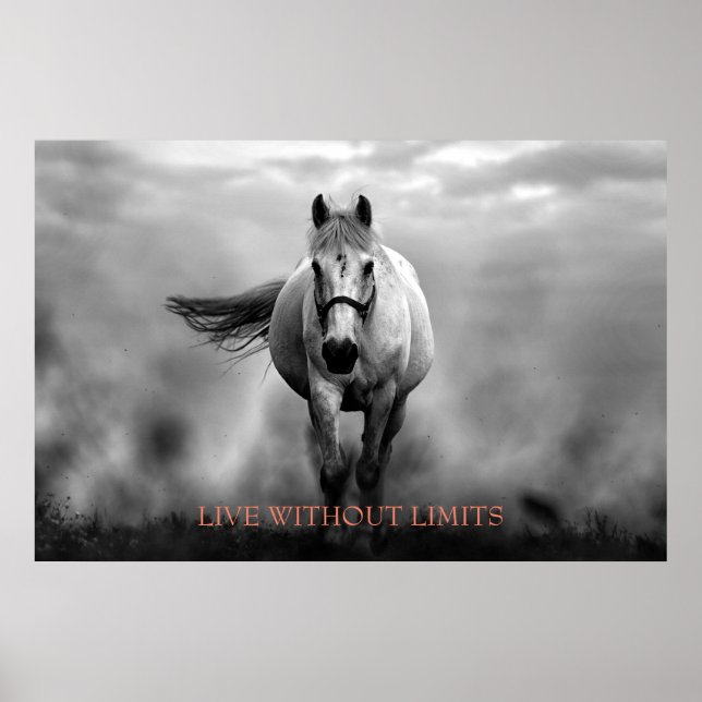 Affiche Cheval Motivationnel Blanc Noir Vit Sans Limites (Devant)