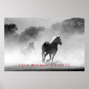 Affiche Cheval Motivationnel Blanc Noir Vit Sans Limites