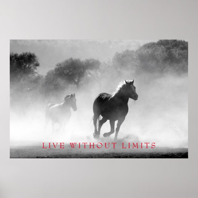 Affiche Cheval Motivationnel Blanc Noir Vit Sans Limites (Devant)