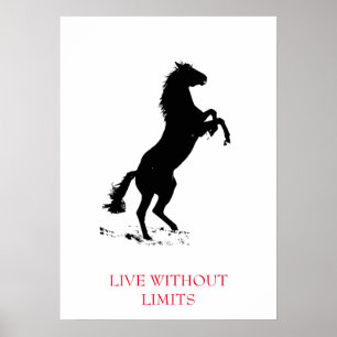 Affiche Cheval Motivationnel Blanc Noir Vit Sans Limites