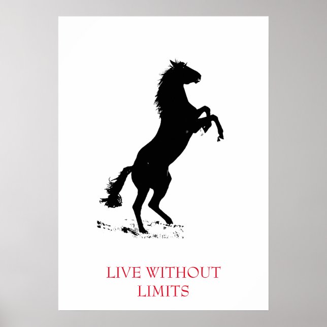 Affiche Cheval Motivationnel Blanc Noir Vit Sans Limites (Devant)