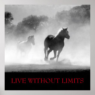 Affiche Cheval Motivationnel Blanc Noir Vit Sans Limites