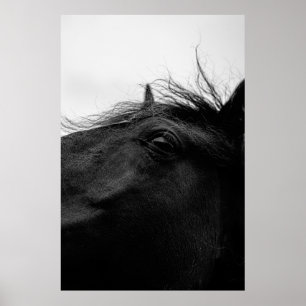 AFFICHE CHEVAL NOIR