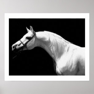 Affiche Cheval Noir & Blanc