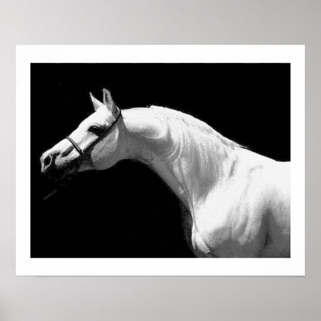 Affiche Cheval Noir & Blanc (Devant)