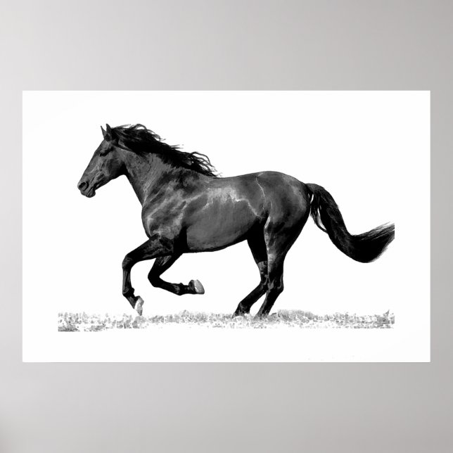 Affiche Cheval Noir Blanc en Course (Devant)