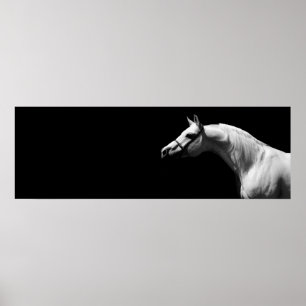 Affiche Cheval noir et blanc