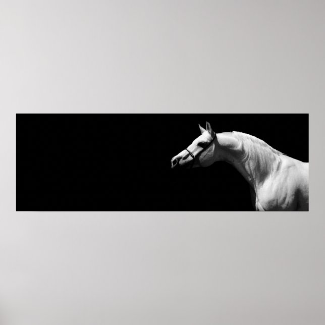 Affiche Cheval noir et blanc (Devant)