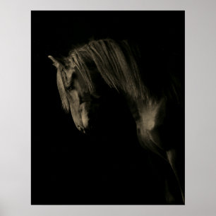Affiche Cheval noir Sepia